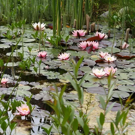 Privat 66 Liptowski Tarnowiec